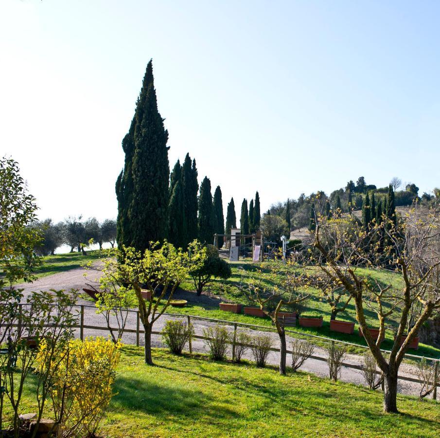 Agriturismo Torre Burchio Bettona Exterior photo